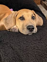 My pretty boy Achellies ❤️❤️❤️❤️