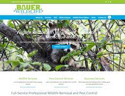 Pest services company offers wildlife trapping and relocation services. Bauer Wildlife Trapping Pest Control Wi Fox Valley Web Design