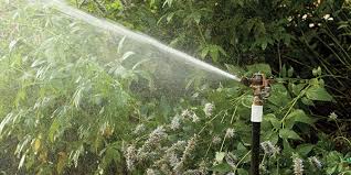 Looking for a good deal on tripod sprinkler? 10 Best Tripod Sprinklers To Buy In July 2021 Buyer S Guide