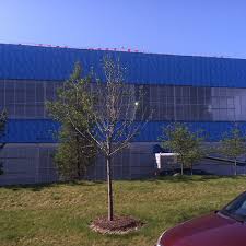 Stony Creek Services