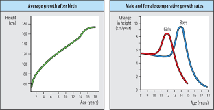 This Picture Depicts The Characteristic Of Growth And Development Because It Shows How Girls And Boys Grow Characteristics Of Living Things Growth After Birth