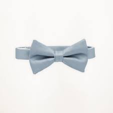 Light Blue Bow Tie