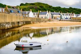 Image result for Cullen