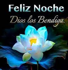 N Rosa Preciosa Feliz Noche Frases Imagenes De Buenas Noches Buenas Noches