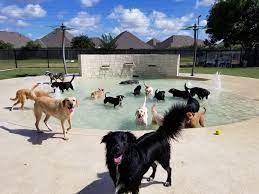 Or you need a sample pet spa business plan template? Dog Pet Resort Near Me The Y Guide
