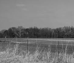 PLAINS & EASTERN CLEAN LINE TRANSMISSION PROJECT ENVIRONMENTAL IMPACT  STATEMENT