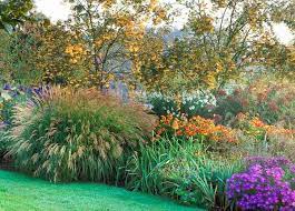 Garden Ideas Border Ideas Plant Combinations Flowerbeds Ideas Summer Borders Fall Borders Asters Miscanthus Plant Combinations Plants Flowerbeds Ideas