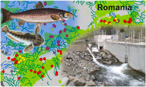 Privind promulgarea legii pentru modificarea şi completarea legii arhivelor naţionale nr. A Review Of Hydropower Plants In Romania Distribution Current Knowledge And Their Effects On Fish In Headwater Streams Sciencedirect
