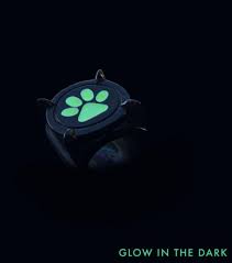 Miraculous Cat Noir Noir Dark Cat Glow In The Dark