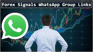 Crypto trading signals aren't something you receive randomly because they are based on various factors including fundamental analysis, technical analysis, market situations, rumors, and the latest news in the market. 950 Best Forex Signals Whatsapp Group Links List 2021