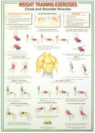 Dumbbell And Barbell Weight Training Instruction Charts Set