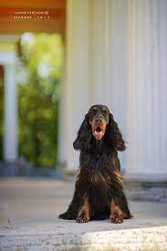 There are 90+ professionals named kornecka, who use linkedin to exchange information, ideas, and opportunities. Monika Kornecka Nasza Wnuczka Petra Gordon Hall Unique Facebook