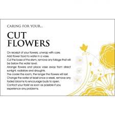 We did not find results for: Florist Cut Flowers Care Cards X 100pcs Www Floralsundries Com Trevor Green Floral Sundries