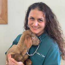 Veterinarian In Kenton, OH 43326