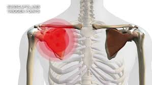 Image result for Trigger Point Location