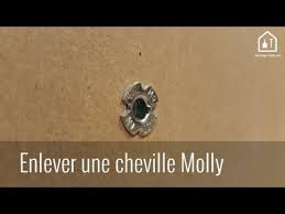 Astuce Bricolage Comment Extraire Une Cheville Molly Bricolage Facile Youtube