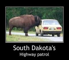 Memes Monday Southdakota Www Facebook Com For More Great South Dakota Memes Animal Captions Funny Animals Funny Pictures