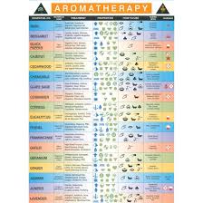 aromatherapy chart aromatherapy chart essential oils