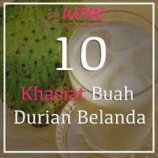 Cerita khabar angin mungkin anda percaya atau mungkin anda dikatakan salah satu industri penyelidikan antarabangsa telah menutup rahsia penemuan khasiat. Khasiat Buah Durian Belanda Wom My Durian Online Magazine Women Online