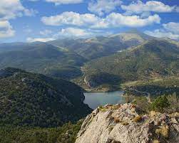 National forest located in the u.s. Humboldt Toiyabe National Forest