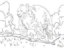 Black Bear In A Forest Super Coloring Teddy Bear Coloring Pages Polar Bear Coloring Page Animal Coloring Pages