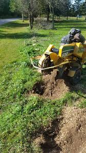 We will grind your stump to the ground. Ben S Stump Removal