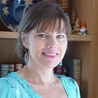 Karl's Wooden Horse by Lois Donaldson