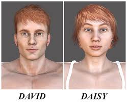 Rigged Daisy 3D Models