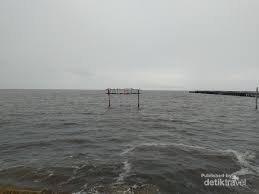 Berikut daftar gambar tanaman obat dan khasiatnya yang bisa anda tanam di rumah: Sei Bakau Laut Hitam Dari Indonesia