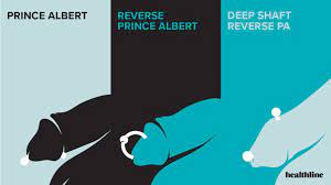 Deep shaft reverse prince albert