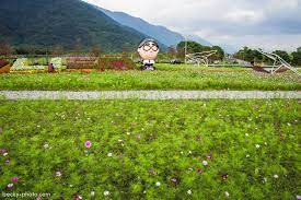pin on 花蓮