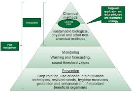 Report of research projects which yield valuable insights into topics within our coverage. Https Www Eca Europa Eu Lists Ecadocuments Sr20 05 Sr Pesticides En Pdf
