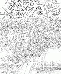 Super Hard Coloring Pages For Adults Colouring4u 78936 Hard Coloring Pages For Boys Bird Coloring Pages Abstract Coloring Pages Just download and print them. super hard coloring pages for adults