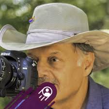 Can I use my sandwich bread recipe for a 13" Pullman pan?