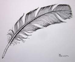Pin On Feathers