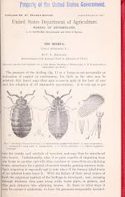 Image result for Cimex Lectularius L