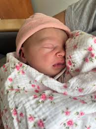 2015 Forest River Sierra! Very nice with a brand new generator!!