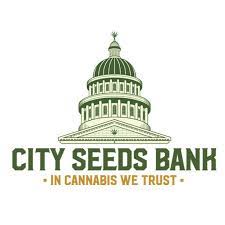 Back in the early 2000's, bc seeds had a reputation for providing authentic cannabis seeds when other seed banks just ran away with your money. Feminized And Automatic Flowering Cannabis Seeds City Seeds Bank