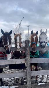 jieun @jieun1715 - Twitter Profile | Sotwe