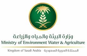 أكد الرئيس التنفيذي للمركز الوطني للأرصاد الدكتور أيمن غلام، أن. ØªØ¯Ø´ÙŠÙ† Ø§Ù„Ù‡ÙˆÙŠØ© Ø§Ù„Ø¬Ø¯ÙŠØ¯Ø© Ù„Ù€ 4 Ù…Ø±Ø§ÙƒØ² Ø¨ÙŠØ¦ÙŠØ© Ø£Ø®Ø¨Ø§Ø± Ø§Ù„Ø³Ø¹ÙˆØ¯ÙŠØ© ØµØ­ÙŠÙØ© Ø¹ÙƒØ§Ø¸
