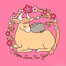 Send your loved one new year funny whatsapp messages quotes pictures card free. Xwgv23dqdi4wdm