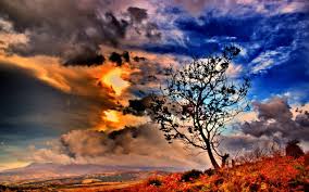 Darkness inspires light, light inspires darkness. Beautiful Sky Wallpapers Data Src Full 1131175 Beautiful Sky Wallpaper Hd 2560x1600 Wallpaper Teahub Io