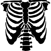 Rib cages are corpse parts that are used to obtain the base forms of part 7 stands. Download Rib Cage Free Png Transparent Image And Clipart