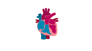 Image result for Restrictive Cardiomyopathy