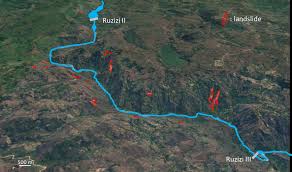 Image result for Blepharis burundiensis