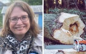 Jess Bailey Archives