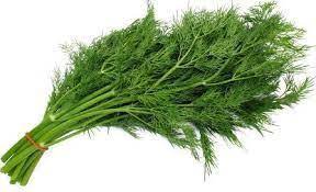 Gambar rumput rambatan (mikania micrantha). Manfaat Konsumsi Daun Adas Bagi Kesehatan