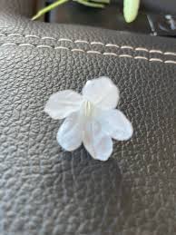 Image result for Justicia heterocarpa