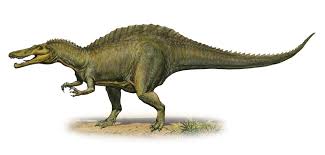 Image result for Suchomimus