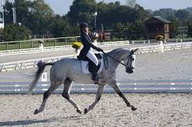 Ce pnj se trouve dans vallée chantorage. Circuit Des 7 Ans Amateur France Complet 2015 France Complet